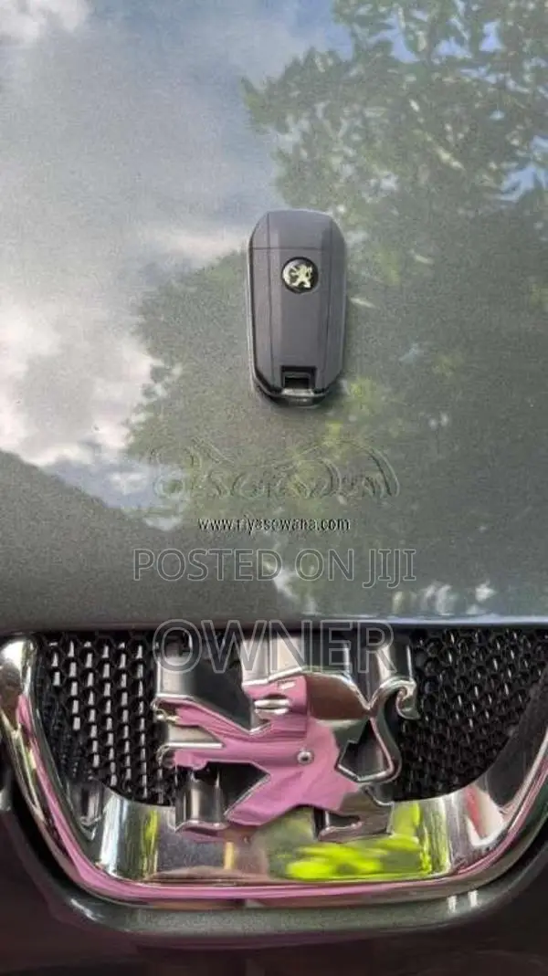 Peugeot 407 2007 Car (Used)
