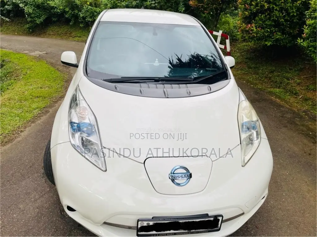 Nissan Leaf 2014 Car (Used)