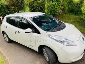 Nissan Leaf 2014 Car (Used)