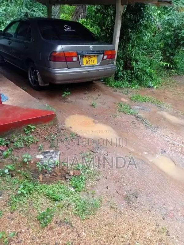 Nissan Sunny FB14 1996 Car (Used)