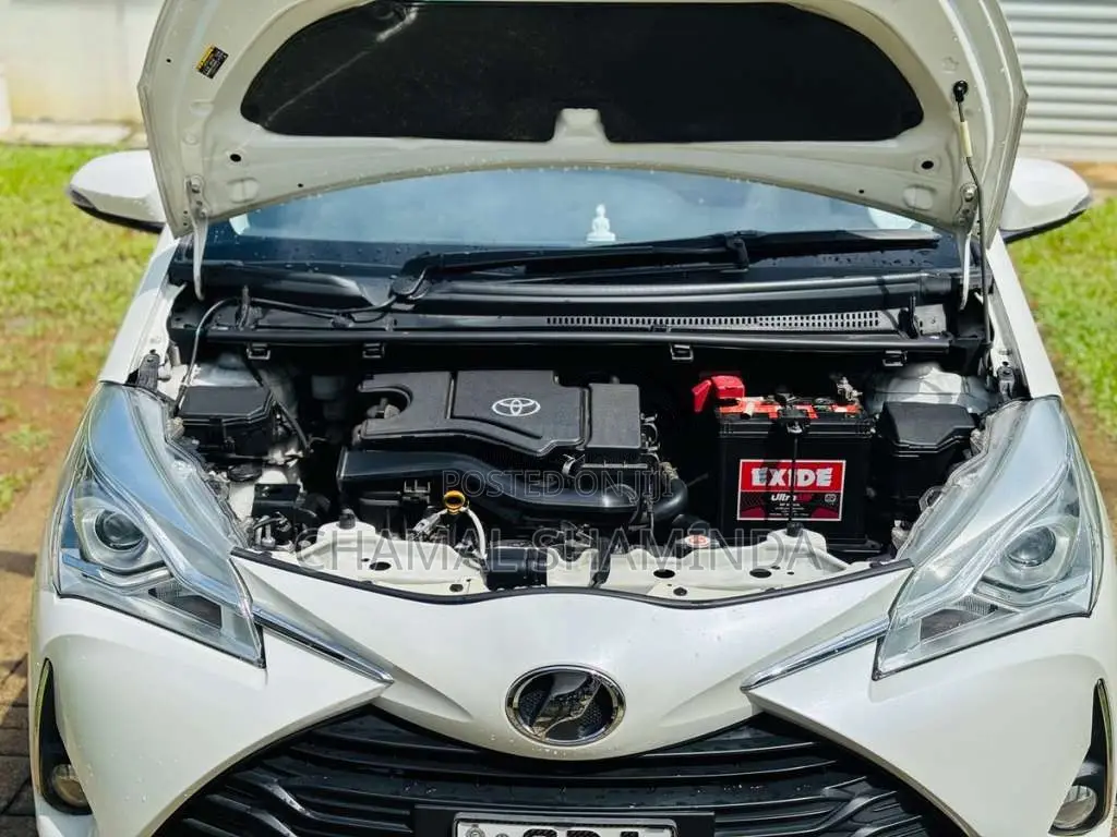 Toyota Vitz 2019 Car (Used)