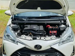 Toyota Vitz 2019 Car (Used)