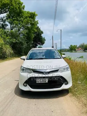 Toyota Axio 2015 Car (Used)