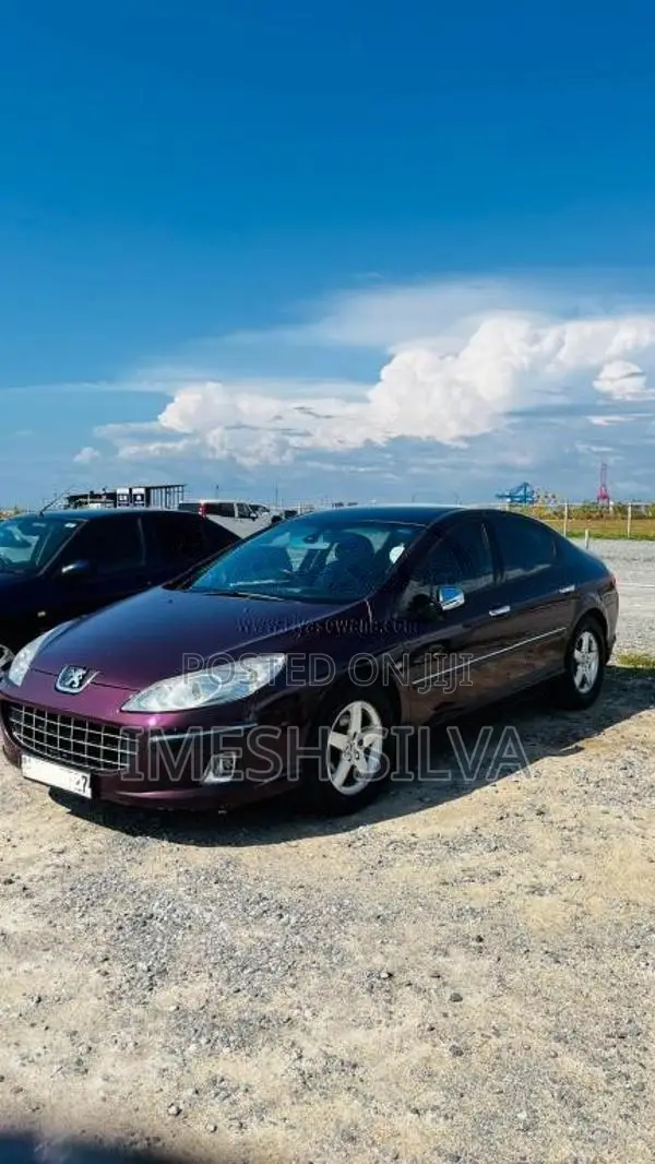 Peugeot 407 2004 Car (Used)