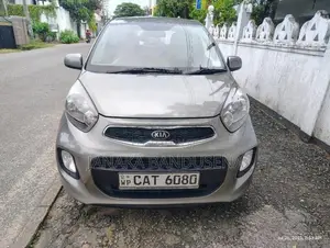 Kia Picanto 2016 Car (Used)