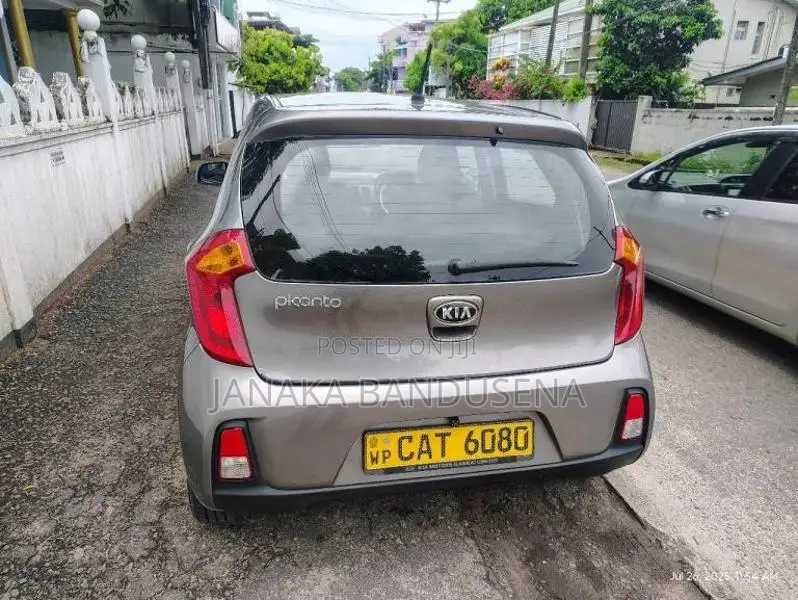 Kia Picanto 2016 Car (Used)