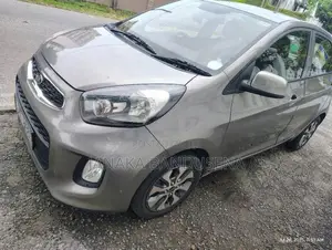 Kia Picanto 2016 Car (Used)