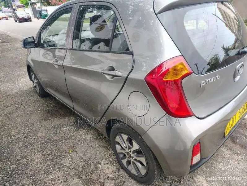 Kia Picanto 2016 Car (Used)