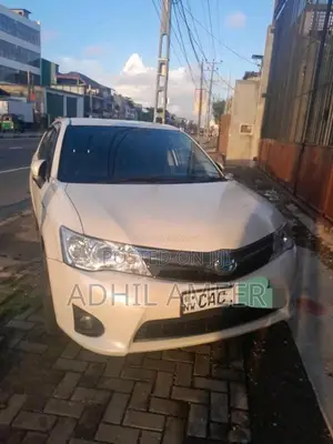 Toyota Axio 2014 Car (Used)