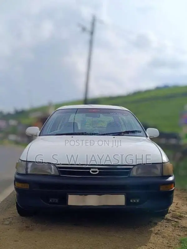 Toyota Corolla Elephant Back 1992 Car (Used)