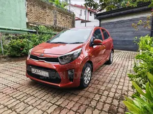 Kia Picanto 2017 Car (Used)