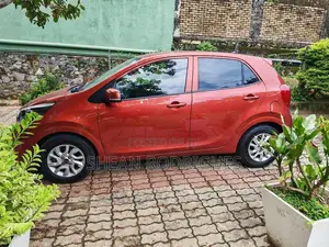 Kia Picanto 2017 Car (Used)