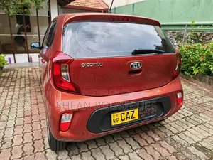 Kia Picanto 2017 Car (Used)