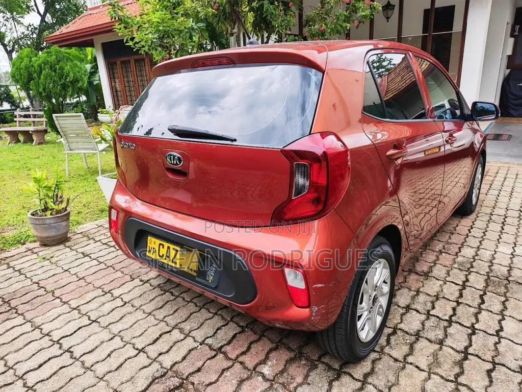 Kia Picanto 2017 Car (Used)