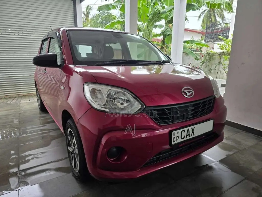 Toyota Passo 2016 Car (Used)