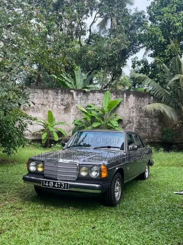 Mercedes-Benz W123 1980 Car (Used)