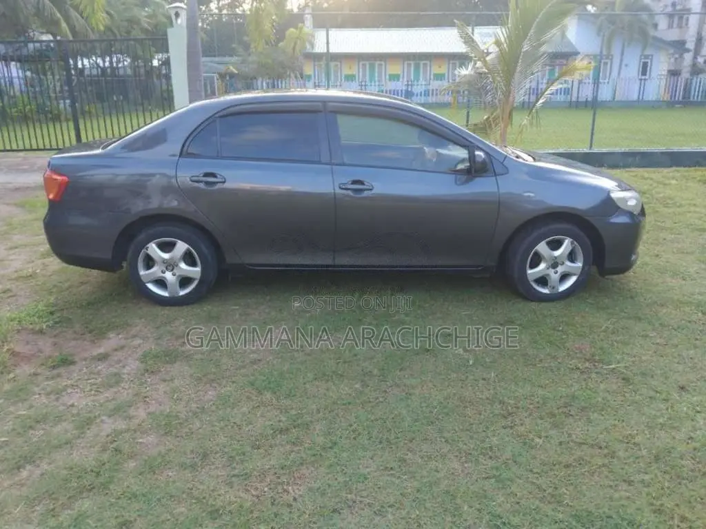 Toyota Axio 2010 Car (Used)