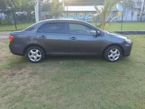 Toyota Axio 2010 Car (Used)
