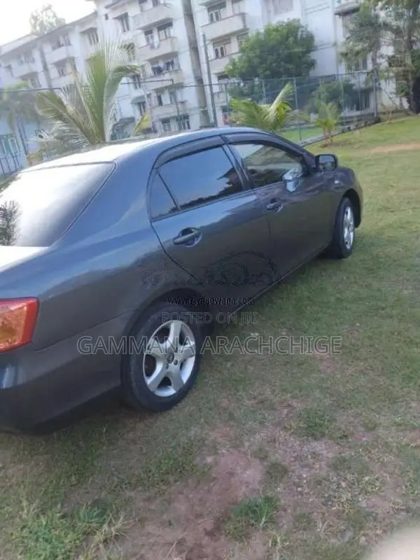 Toyota Axio 2010 Car (Used)