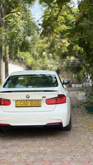BMW 316i 2015 Car (Used)