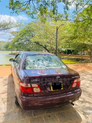 Nissan Bluebird Sylphy FG10 Super Saloon 2003 Car (Used)