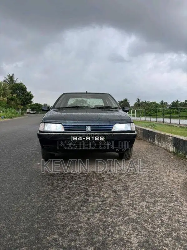 Peugeot 405 1995 Car (Used)