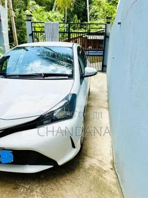 Toyota Vitz 2015 Car (Used)