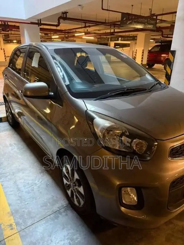 Kia Picanto 2016 Car (Used)