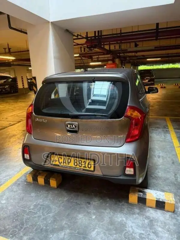 Kia Picanto 2016 Car (Used)