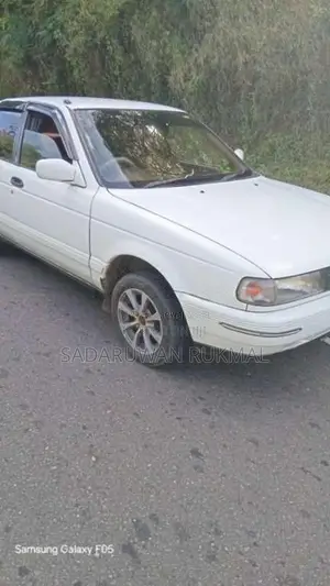 Nissan Sunny 1990 Car (Used)
