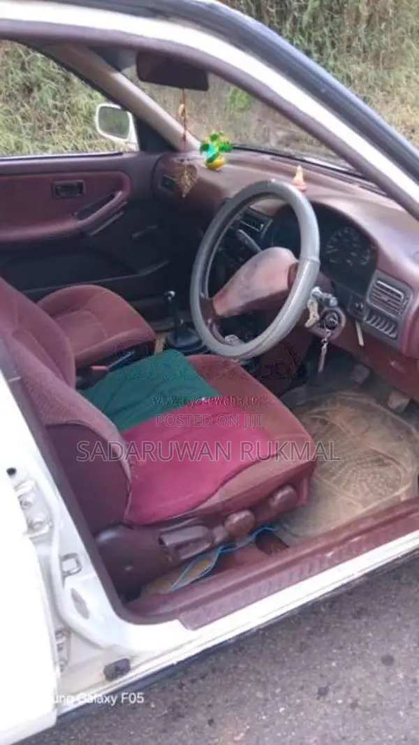 Nissan Sunny 1990 Car (Used)