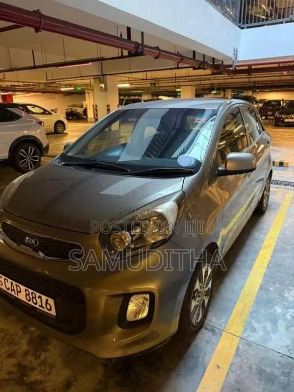 Kia Picanto 2016 Car (Used)