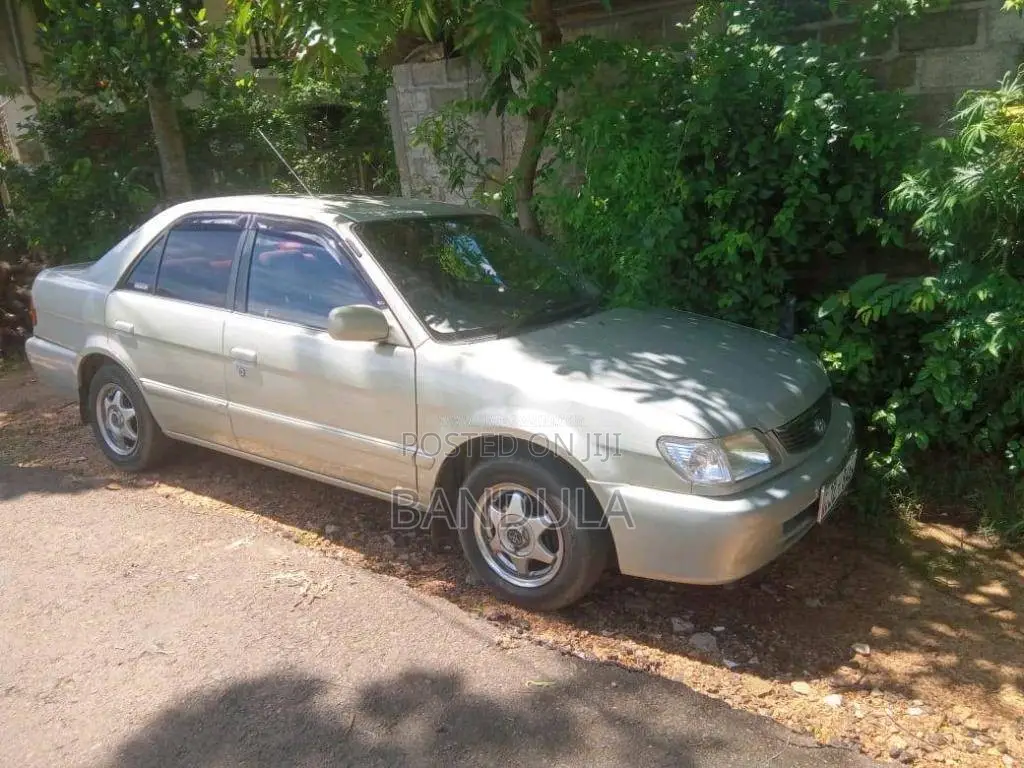 Toyota Soluna 2001 Car (Used)