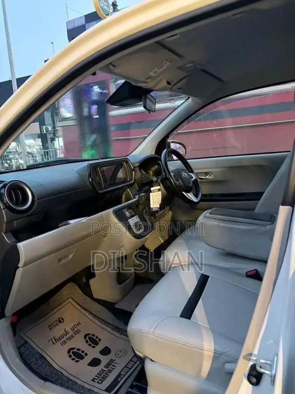 Toyota Passo 2019 Car (Used)