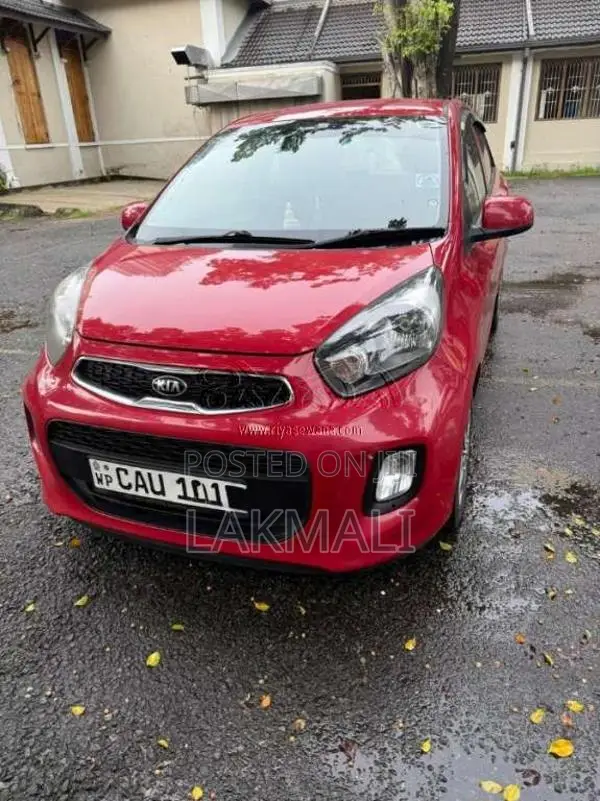Kia Picanto 2016 Car (Used)