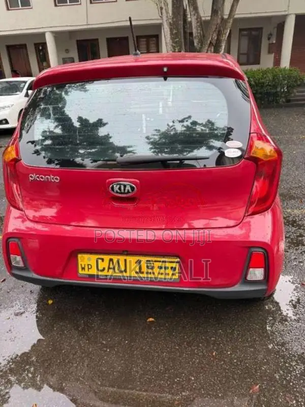 Kia Picanto 2016 Car (Used)