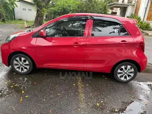 Kia Picanto 2016 Car (Used)