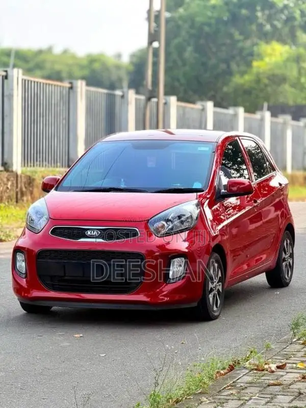 Kia Picanto 2016 Car (Used)