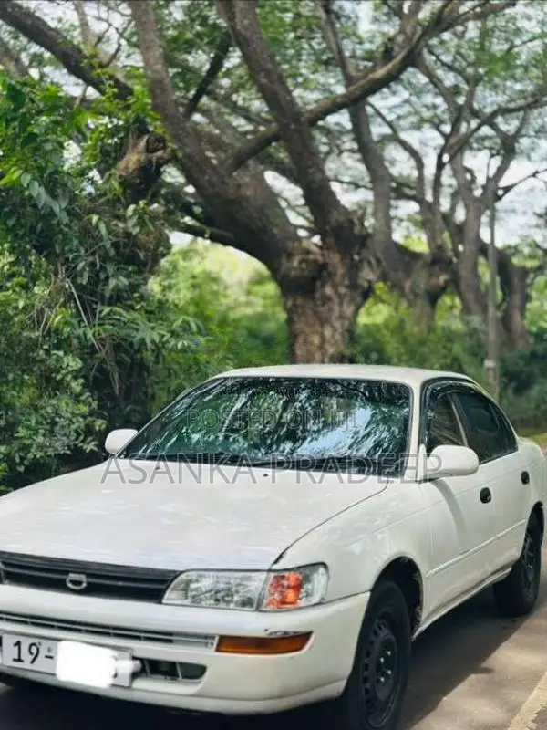 Toyota Corolla EE 101 1991 Car (Used)