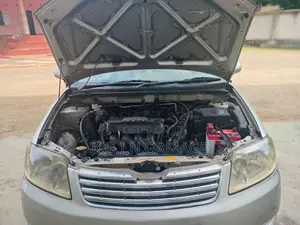 Toyota 121 Lx Limited 2005 Car (Used)