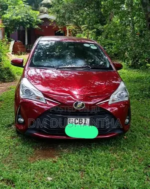 Toyota Vitz 2019 Car (Used)