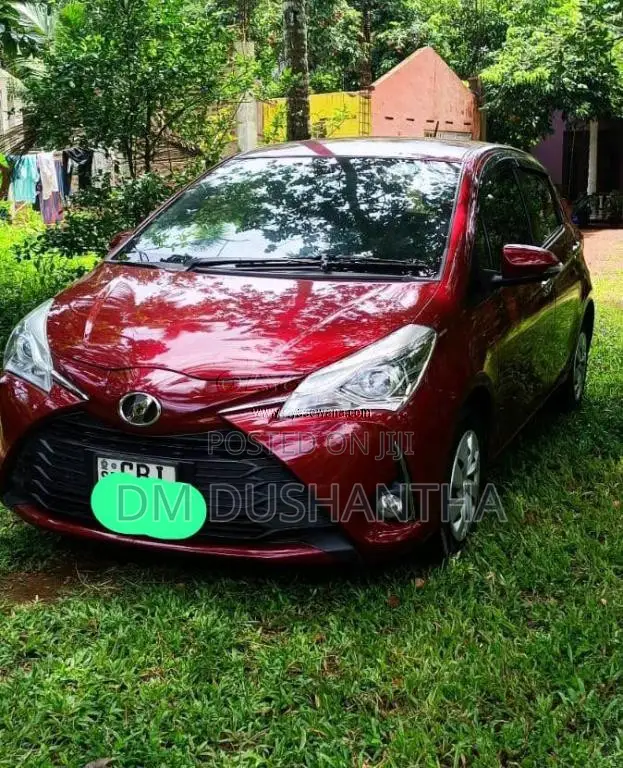 Toyota Vitz 2019 Car (Used)