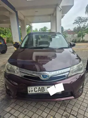 Toyota Axio 2014 Car (Used)