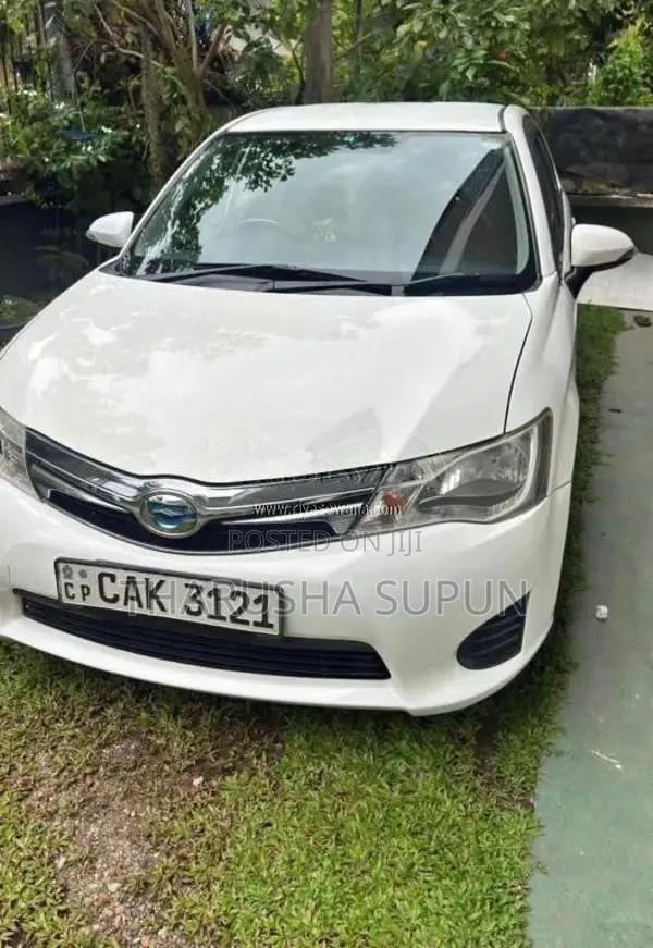Toyota Axio 2015 Car (Used)
