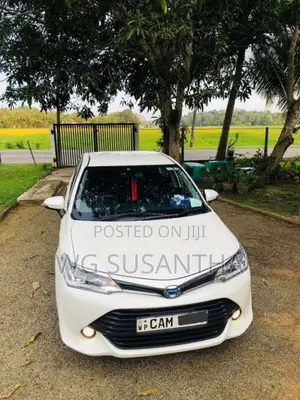 Toyota Axio G Grade 2015 Car (Used)