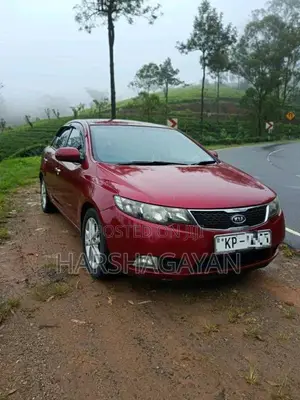 Kia Cerato 2011 Car (Used)