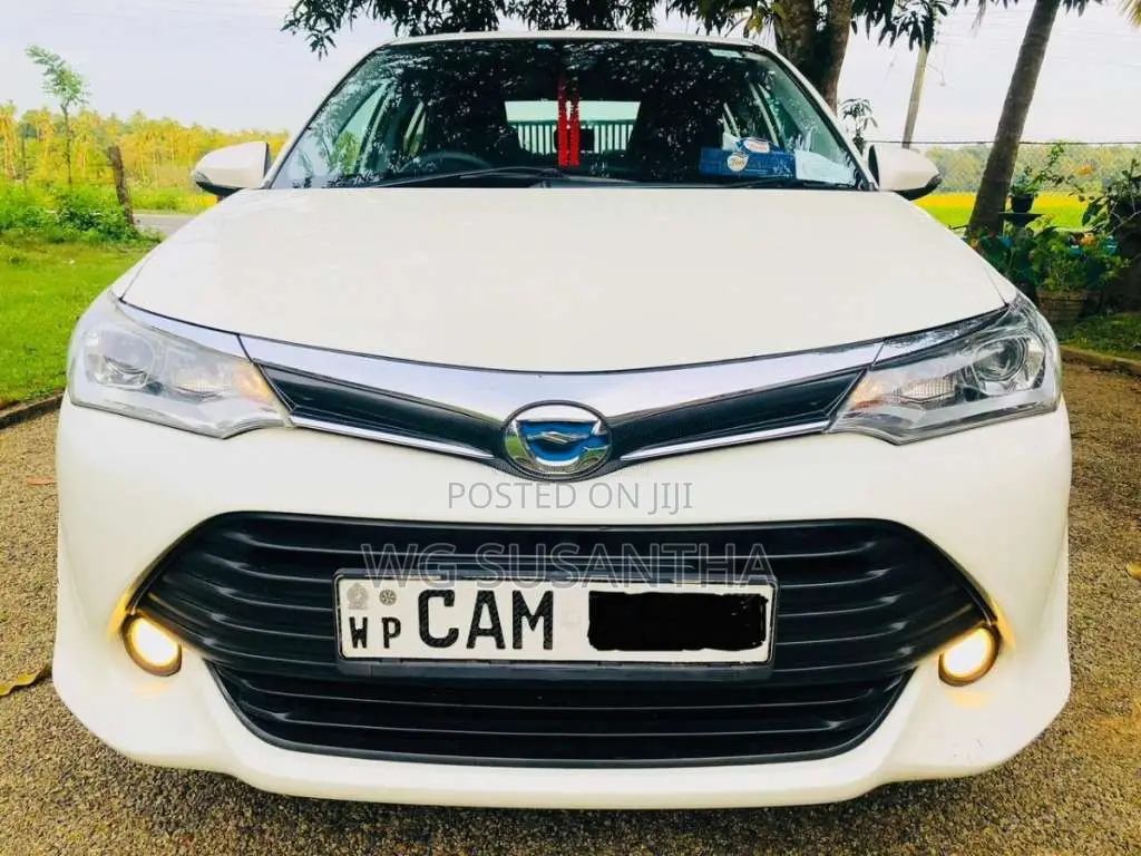 Toyota Axio G Grade 2015 Car (Used)