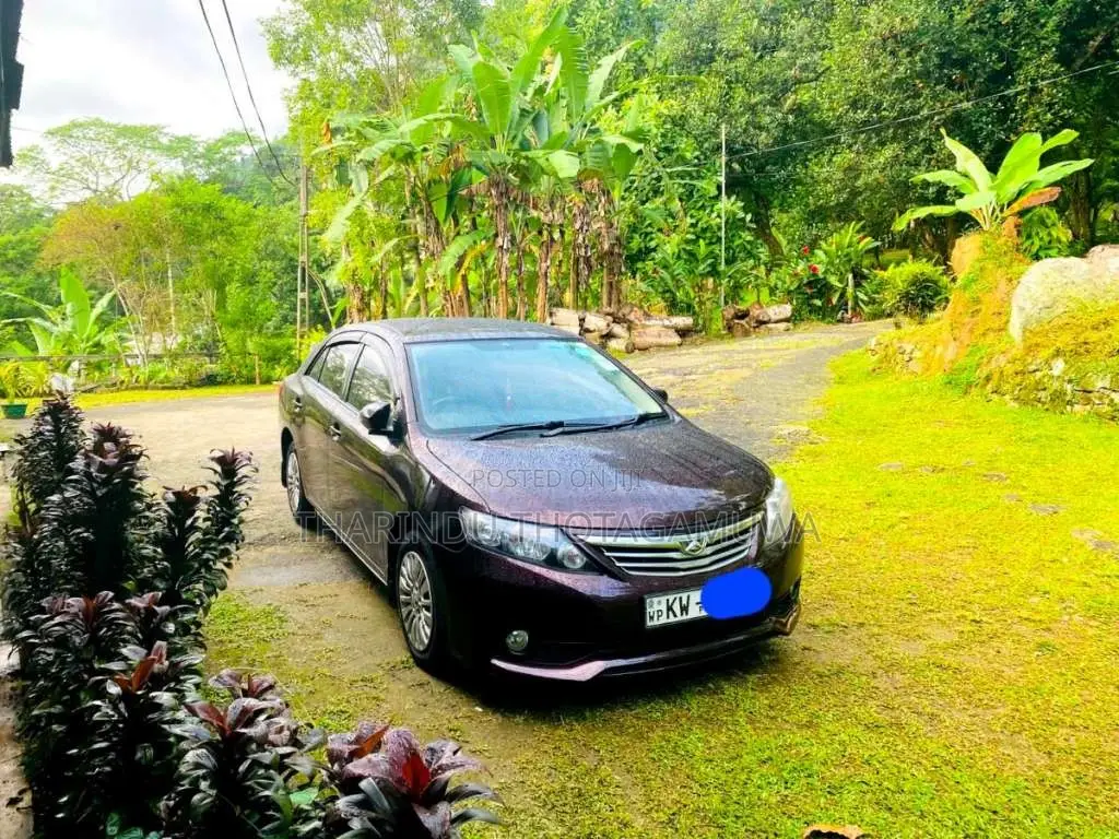 Toyota Allion 260 2013 Car (Used)