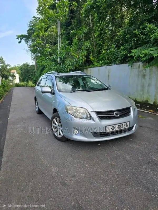 Toyota Axio 2011 Car (Used)