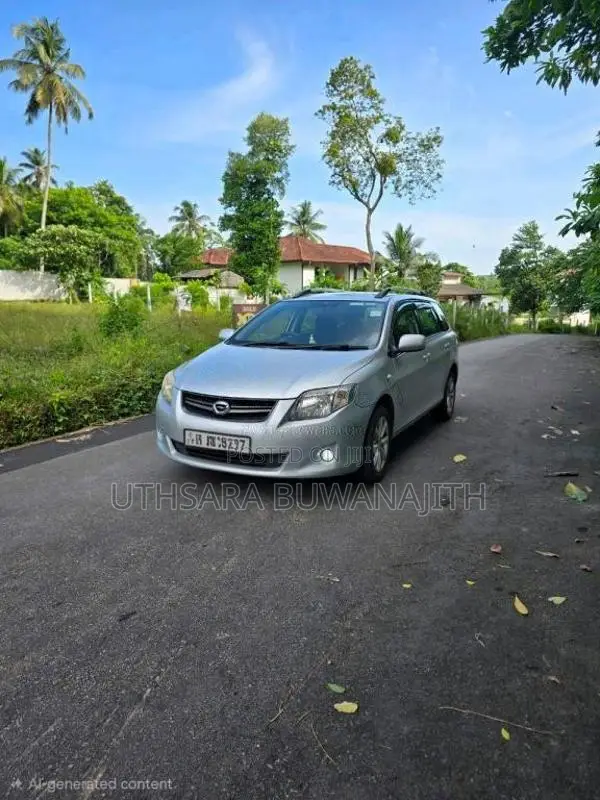 Toyota Axio 2011 Car (Used)